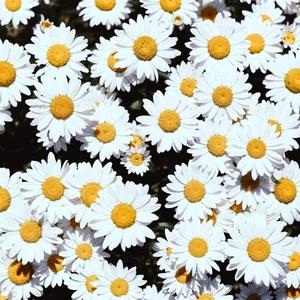 尤物在线观看网站
