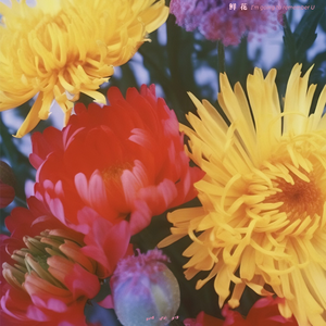 尤物在线观看网站
